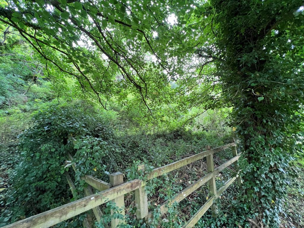 Lot: 48 - FREEHOLD PARCEL OF WOODLAND -